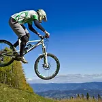 Near Klopeiner In Carinthia *