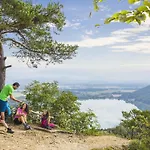 Near Klopeiner In Carinthia *