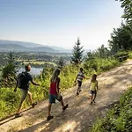 Near Klopeiner In Carinthia Smihel nad Pliberkom