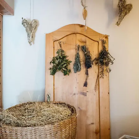 Near Klopeiner In Carinthia Daire