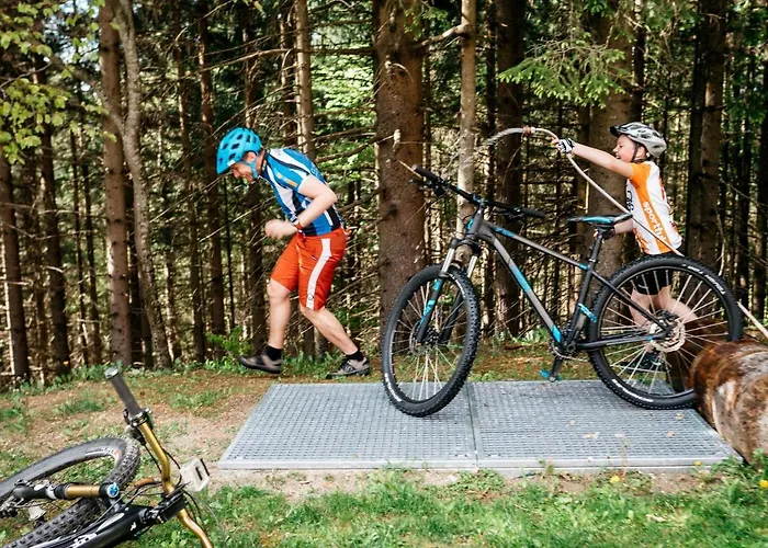 Near Klopeiner In Carinthia *